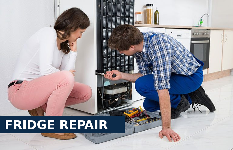 Fridge Repair Thames Ditton